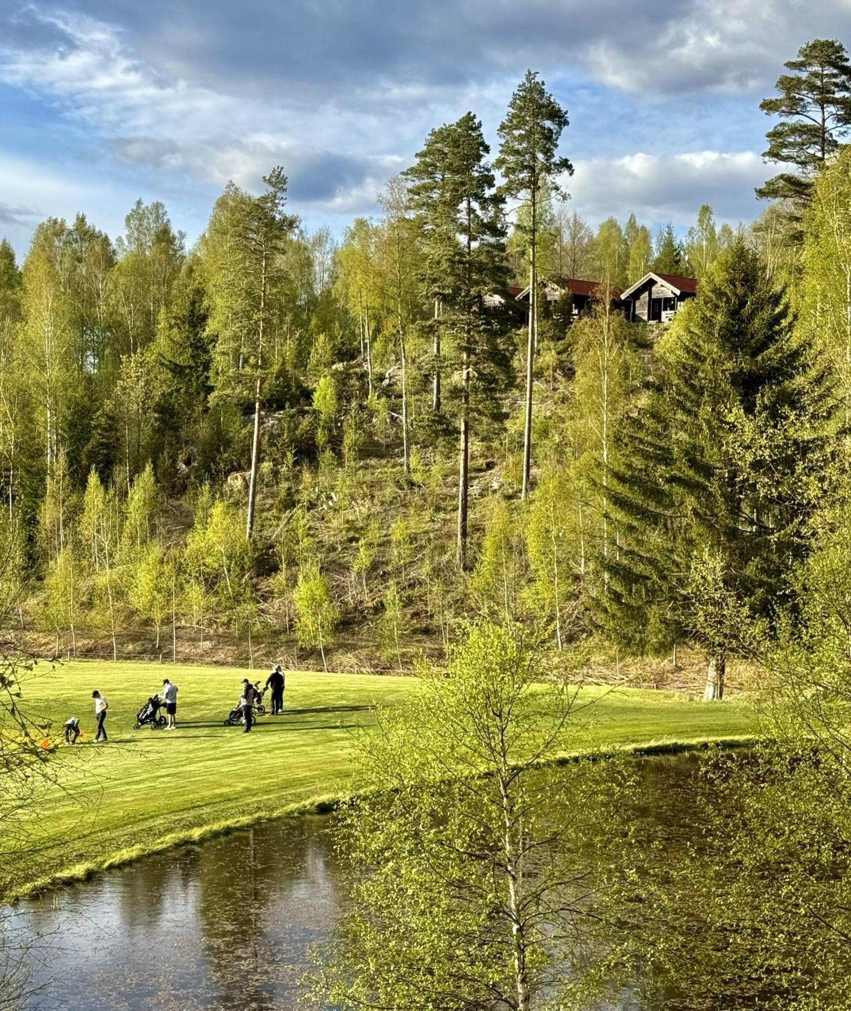 Noretjaerns Stugby Årjäng المظهر الخارجي الصورة